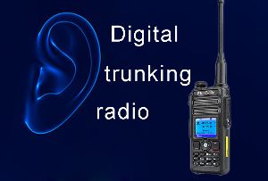 Definition and function interpretation of digital trunking radio doloremque