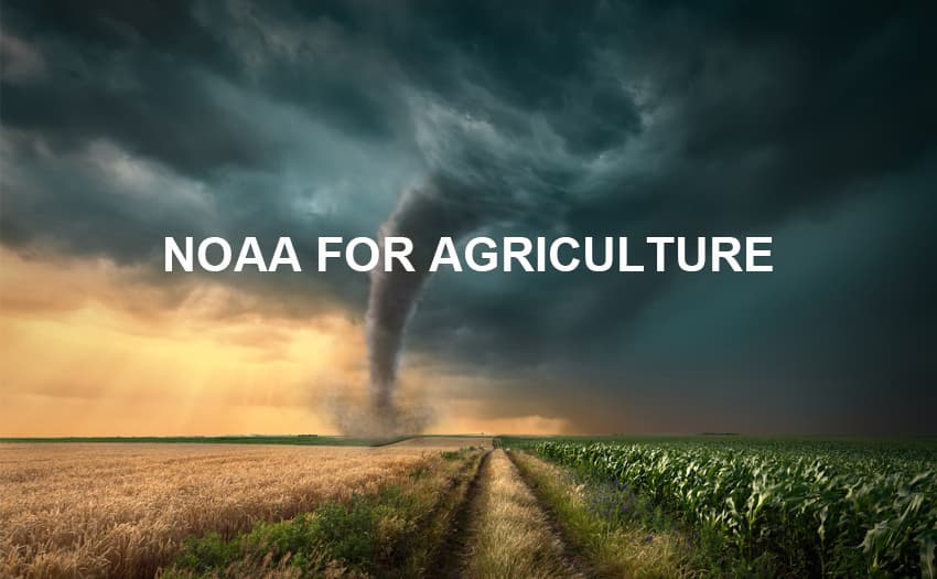 The Important Function And Influence Of NOAA For Agricultural Production