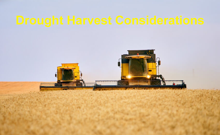 What should be paid attention to for drought farm harvest?