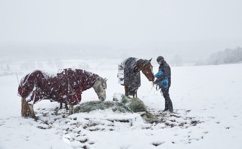 4 Tips for Family Farms to Prepare for Winter Storms