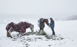 4 Tips for Family Farms to Prepare for Winter Storms doloremque