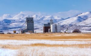 How farms Staying alert and prepared during severe winter waether? doloremque