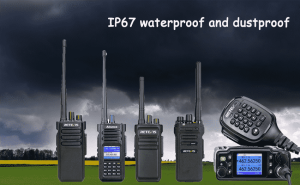 What do the letters and numbers of the IP Index stand for? doloremque