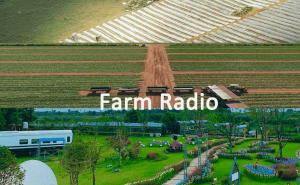 Choose walkie talkies based on farm area doloremque