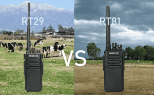 Compare Retevis RT29 vs Retevis RT81 doloremque