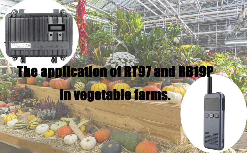 The application of RT97 and RB19P in vegetable farms