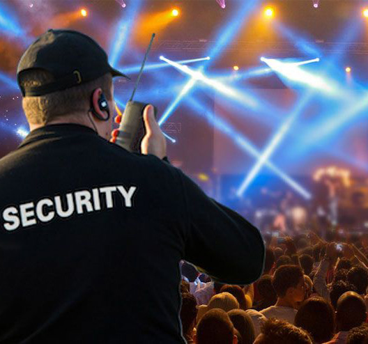 concert radio solution security radio
