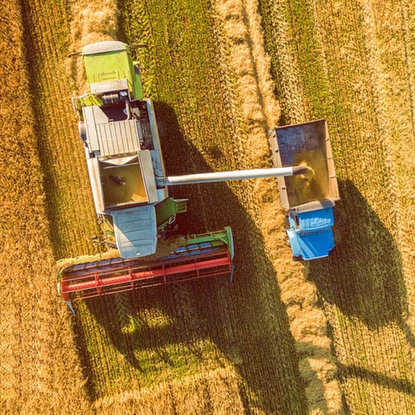 farm harvest