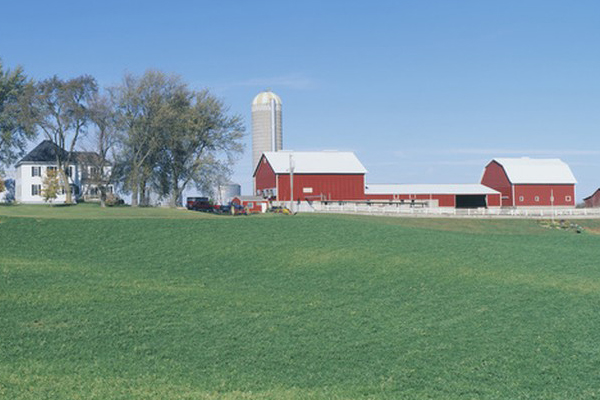 big farm in iowa