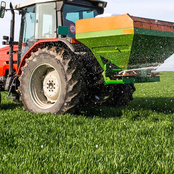 farmers rush to fertilize before rain