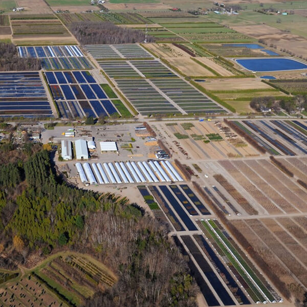 greenhouse farm