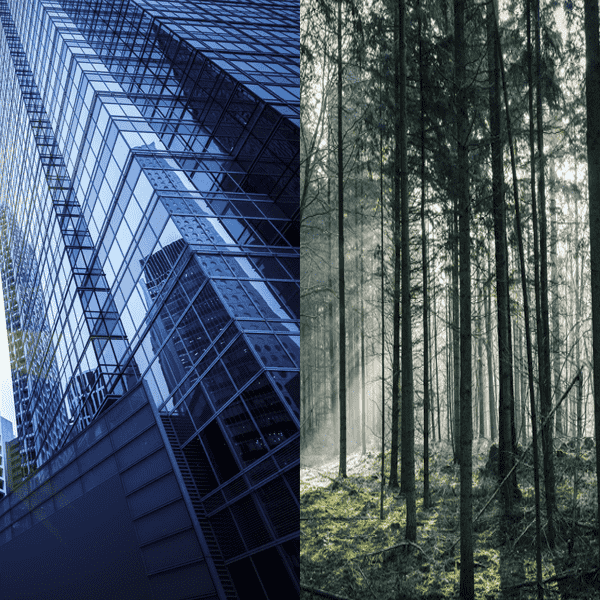 Obstacles--Urban Buildings/Forested Areas