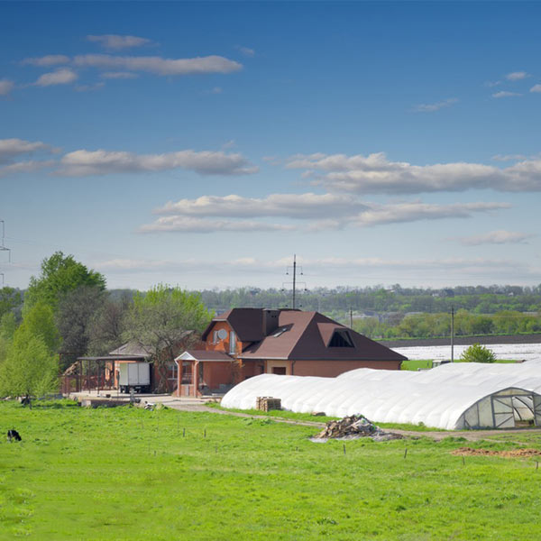 large farm