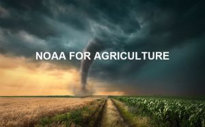 The Important Function And Influence Of NOAA For Agricultural Production doloremque
